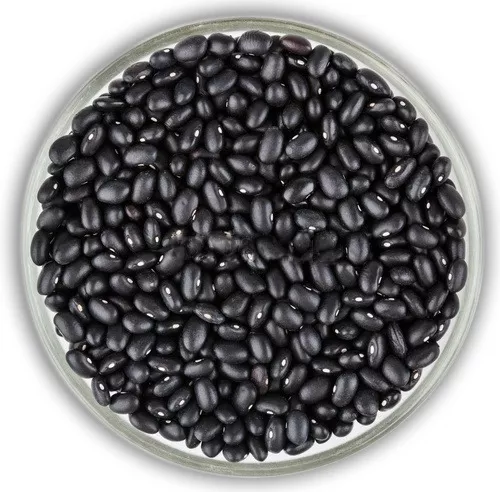Productos de las tiendas que venden en domiplace