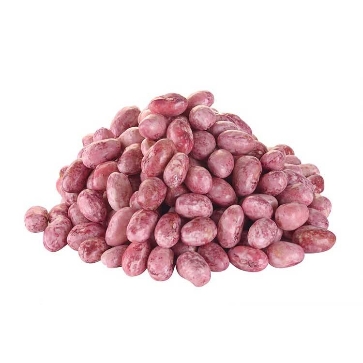Productos de las tiendas que venden en domiplace