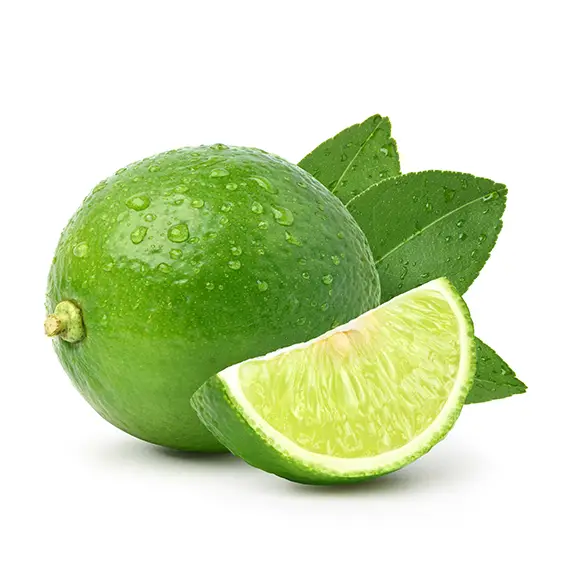 Productos de las tiendas que venden en domiplace